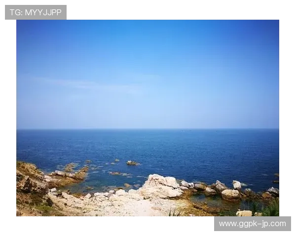 申博菲律宾138：菲律宾申博138平台的用户评价与真实体验分享